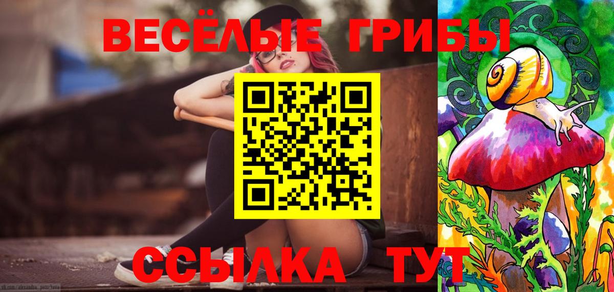 Галлюциногенные грибы мицелий  Вход с VPN  Ялта  цена   Псилоцибиновые грибы Psilocybe 