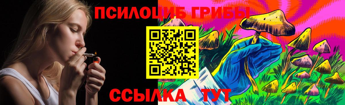 Псилоцибиновые грибы Psilocybe Ялта